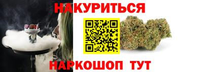 гидра Камышлов